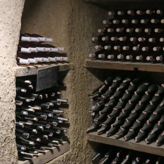 Wine cellar of argos