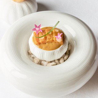 Z06 thai seaurchin pulusu