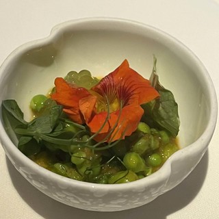 Img 4288