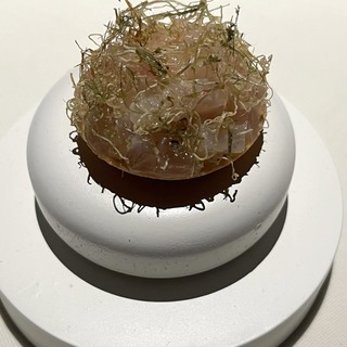 Img 4636