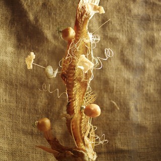 5. dried pike perch 