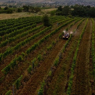 Dji 0010 6000x6000