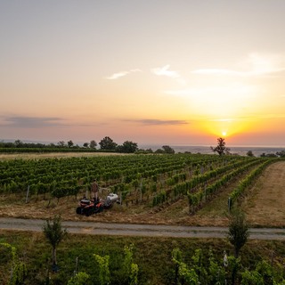 Dji 0034 6000x6000