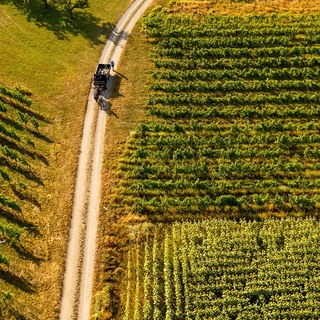 Dji 0088 6000x6000
