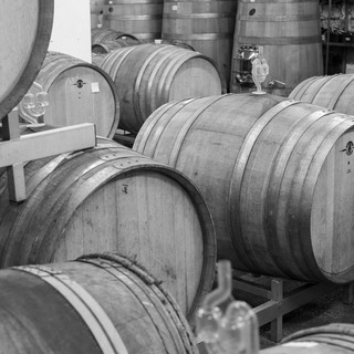 Oggau canondigital022 6000x6000