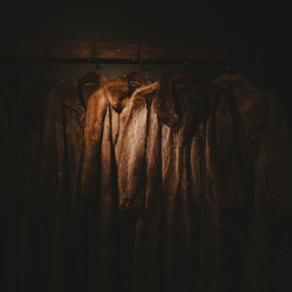Imo06527 53723311506 o