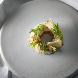 Celeriac 2. credit by kris vlegels