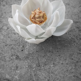 Foie gras au chantilly restaurant jan %c2%a9 pieter d'hoop