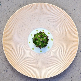 Tantris fleur de concombre  tuna dsc00603 %c2%a9 annette sandner