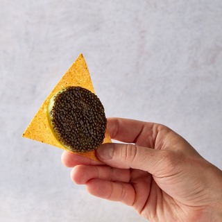 Come  totopo mas finfo del mundo  photo  corinalanda 