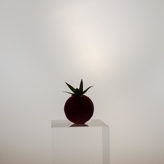 Tomato ilusion (last step)