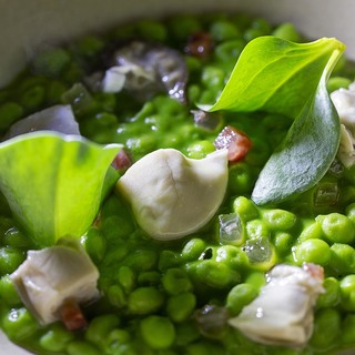 Green peas with oysters and iberian jowl