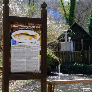 Se%cc%81fexpedi%cc%81cio%cc%81 elso%cc%8b nap (3 of 118)