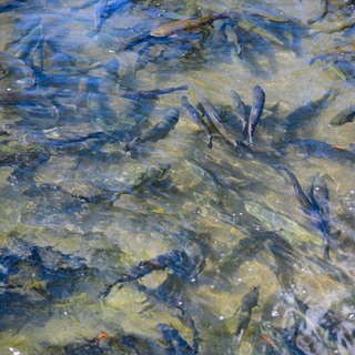 Se%cc%81fexpedi%cc%81cio%cc%81 elso%cc%8b nap (16 of 118)