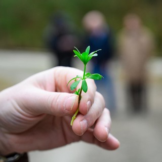 Se%cc%81fexpedi%cc%81cio%cc%81 elso%cc%8b nap (55 of 118)