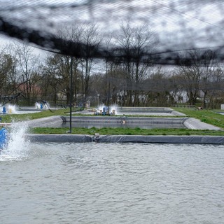 Dscf5680