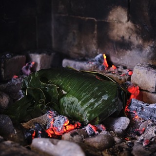 Tala umuchicken 495 photo by manja wachsmuth