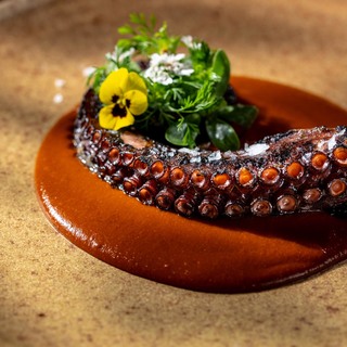 8404 hxm gastronomi%cc%81a  monarca 5